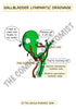 Digestive System Printable Flashcards