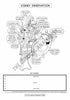 Urinary System Coloring Book
