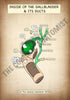 A4 PDF Complete Digestive System E-book