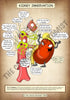 A4 PDF Complete Urinary System E-book
