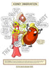 Urinary System Printable Flashcards