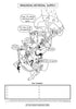 Digestive System Coloring Book (Digital Download)