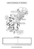 Digestive System Coloring Book (Digital Download)