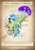 A4 PDF Complete Digestive System E-book