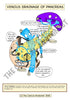 Digestive System Printable Flashcards
