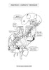 Digestive System Coloring Book (Digital Download)