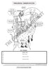 Digestive System Coloring Book (Digital Download)