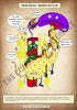A4 PDF Complete Digestive System E-book