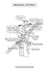 Respiratory System Coloring Book (Digital Product)