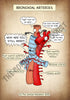 A4 PDF Complete Respiratory System E-book