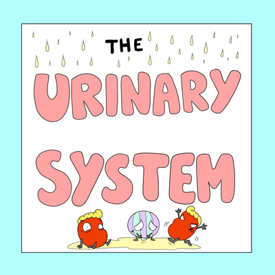 Urinary System Resources