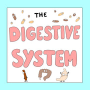 Digestive System Resources