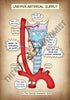 A4 PDF Complete Respiratory System E-book
