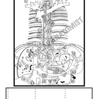 Digestive System Coloring Book (Digital Download)