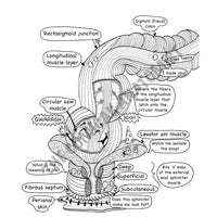 Digestive System Coloring Book (Digital Download)
