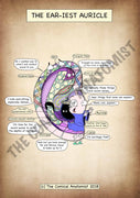 Auricle A4 Printable Poster (High Res)