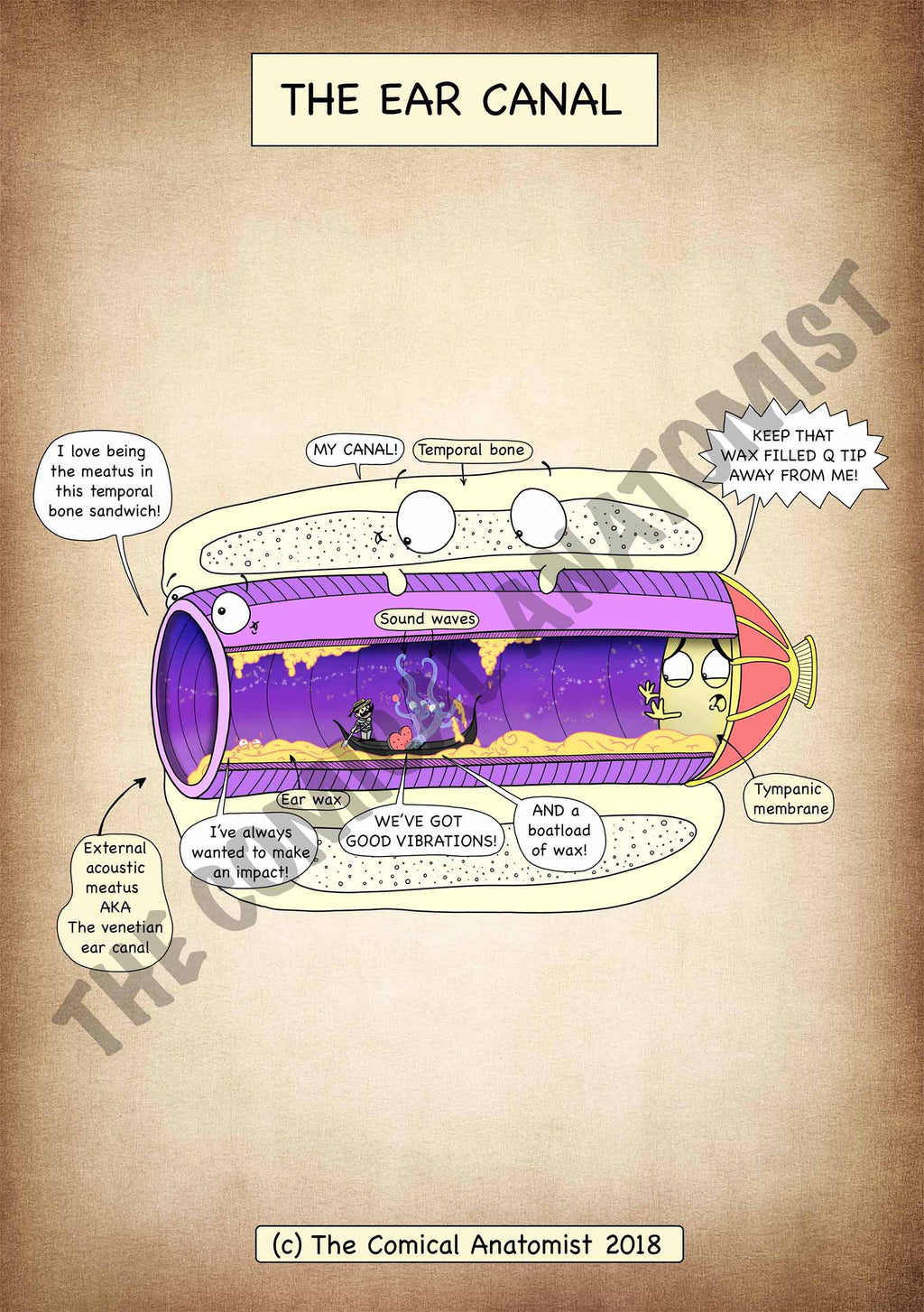 Ear Canal A4 Printable Poster