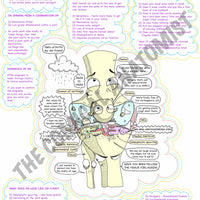 A4 Colour Knee Joint Osteoarthritis Notes Page