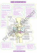A4 Colour Knee Joint Osteoarthritis Notes Page