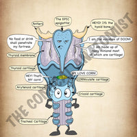 Posterior View of the Larynx A4 Printable Poster