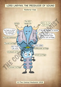 Posterior View of the Larynx A4 Printable Poster