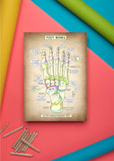 A4 Foot Bones Art Print