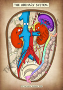 A4 PDF Complete Urinary System E-book