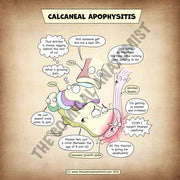 Social Media/Website 15x15cm Square Calcaneal Apophysitis (Sever's Disease) 2 Pack