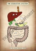 A4 PDF Complete Digestive System E-book