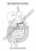 Digestive System Coloring Book (Digital Download)